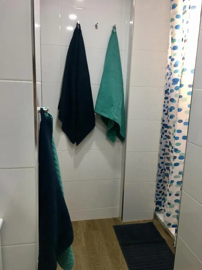 Flores Apartment Malaga 0*,  Spain