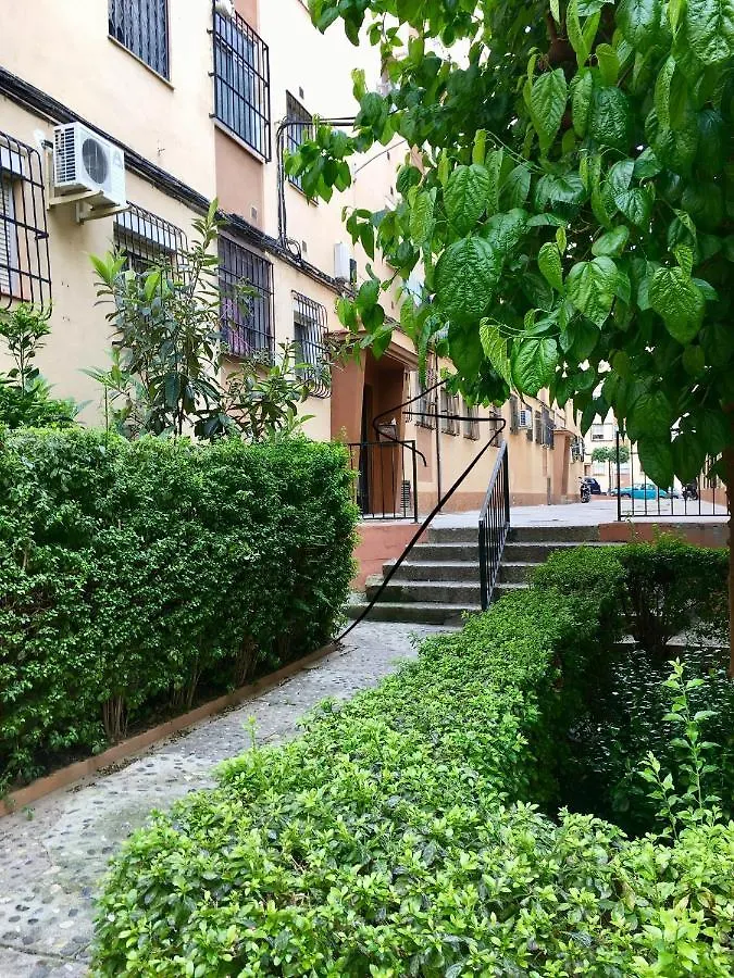 Flores Apartment Malaga